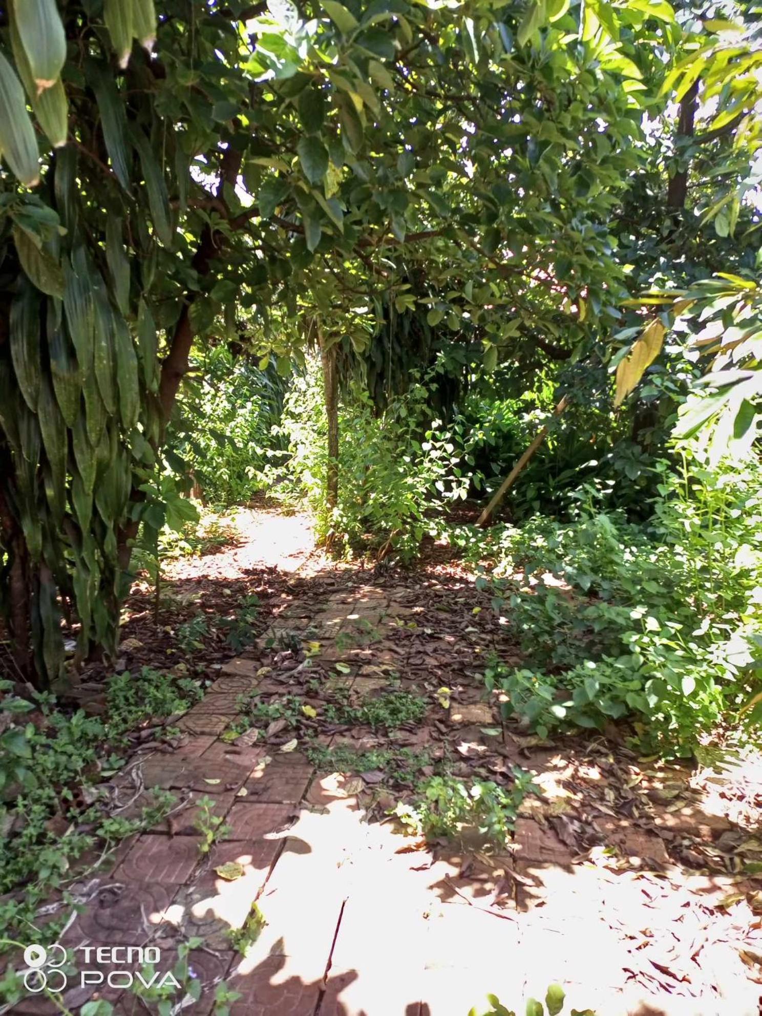 BanlungFamilyhouse & Trekking公寓 客房 照片