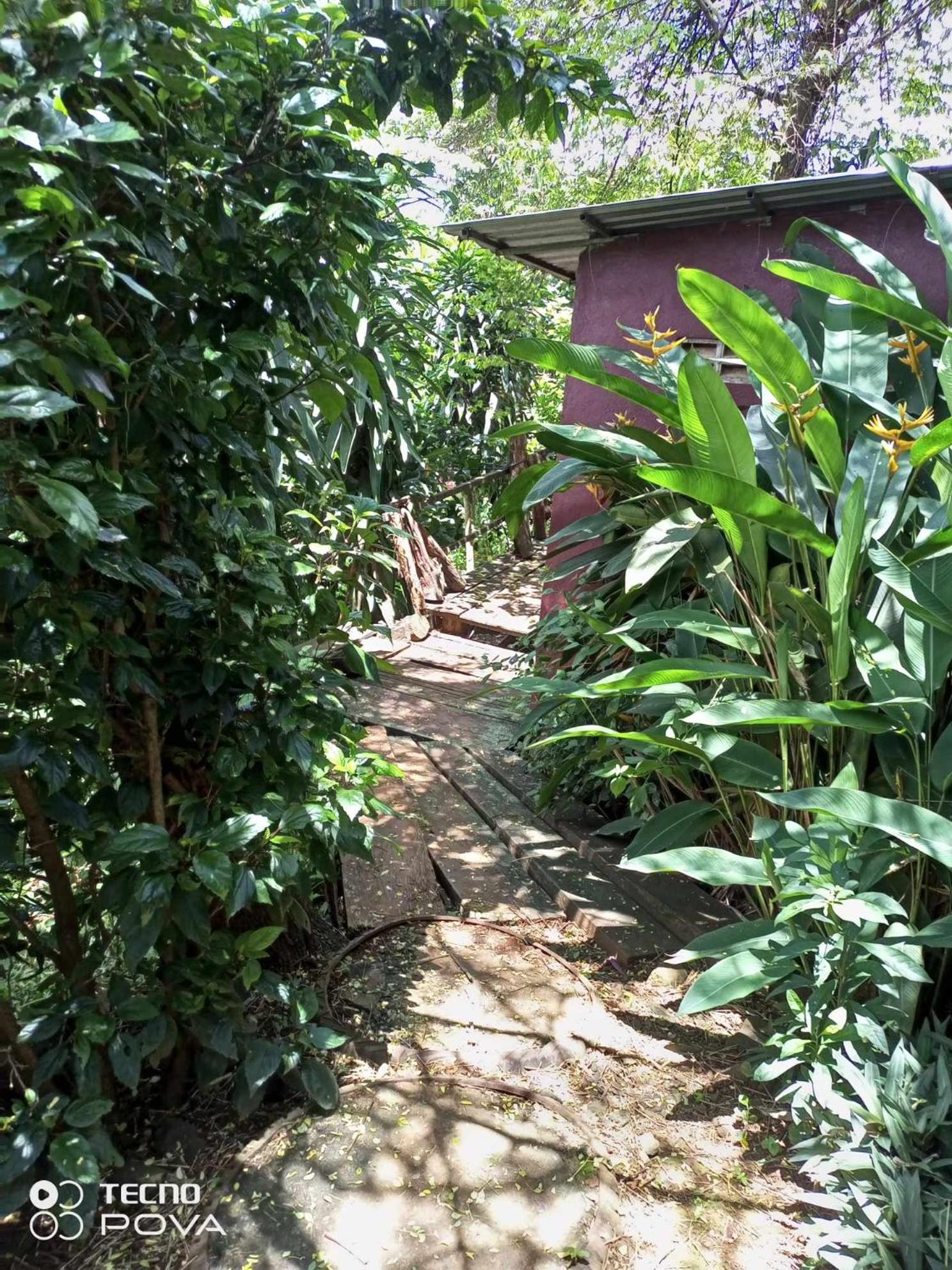 BanlungFamilyhouse & Trekking公寓 客房 照片