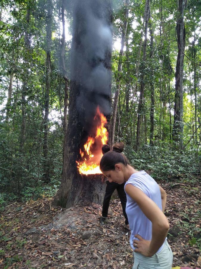 BanlungFamilyhouse & Trekking公寓 外观 照片